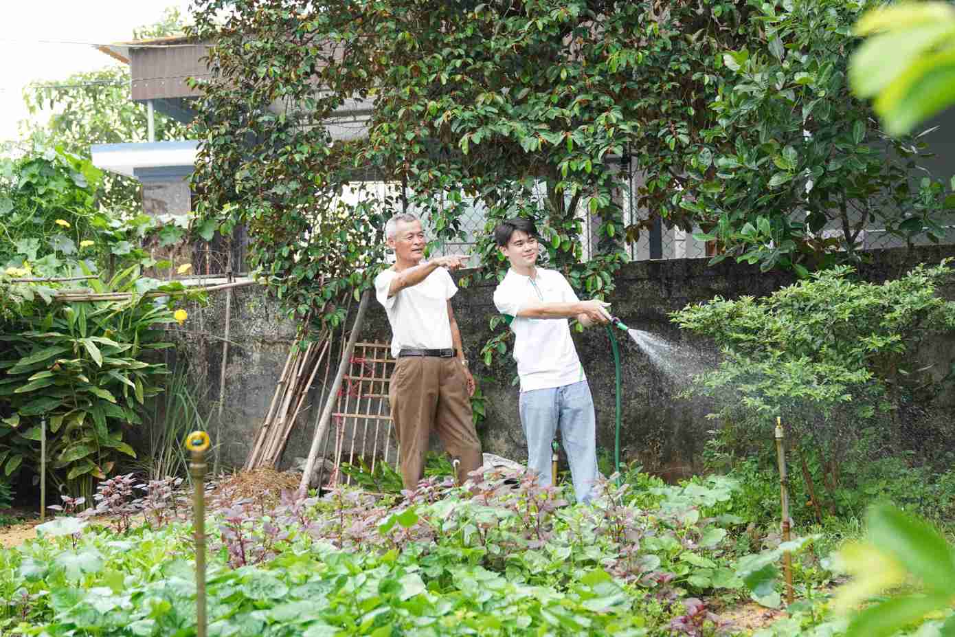 Từ dòng nước mới, sắc xanh tươi đã trở lại với vườn rau màu của người dân