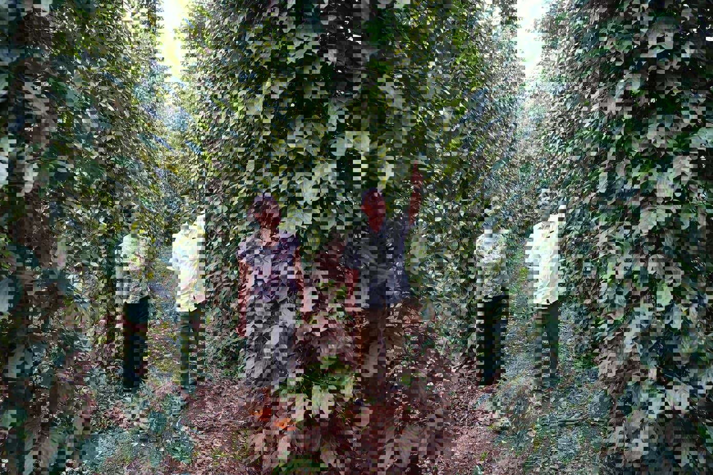 Sức sống đang dần trở lại cho những vườn tiêu Cam Nghĩa, hứa hẹn cho một cuộc sống ổn định và tốt đẹp hơn