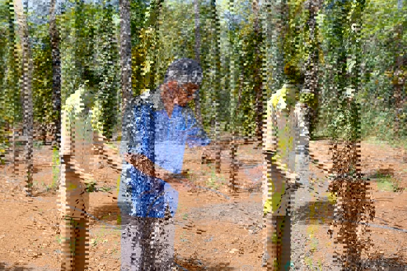 Hạn hán kéo dài tại Thịnh Lộc, Hà Tĩnh khiến nguồn nước ngầm trở nên khan hiếm, đất đai khô cằn